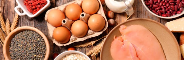 Comer insectos como fuente de proteínas Arla