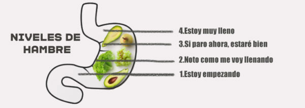 Las señales del estómago