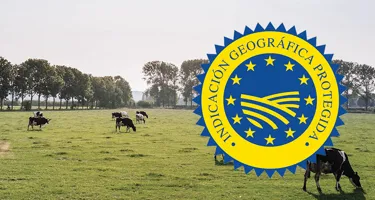 Sello IGP o Indicación Geográfica Protegida, ¿qué es?