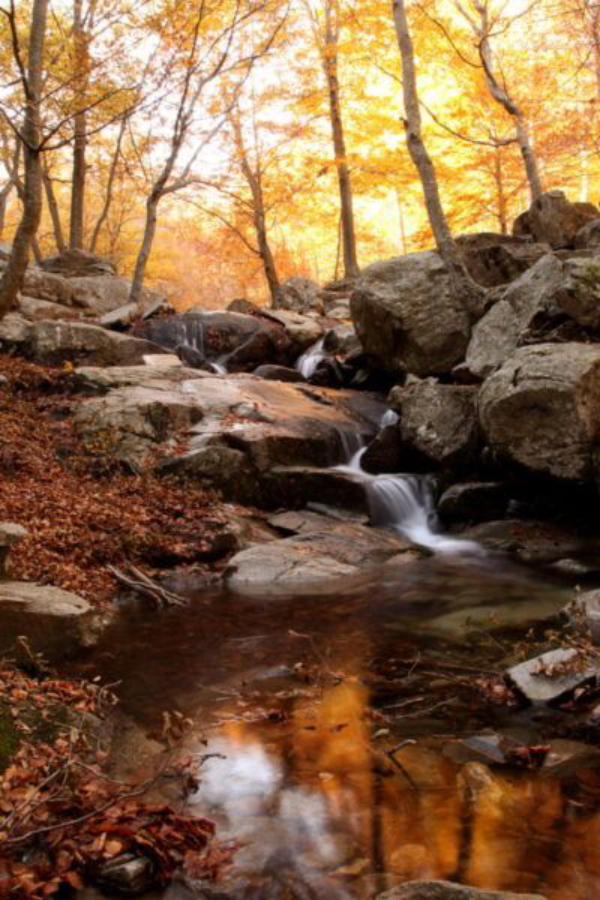 Parque Natural del Montseny, en Cataluña Arla