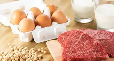 Alimentos ricos en proteínas