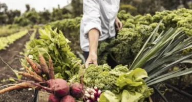La importancia de los alimentos crudos y las enzimas