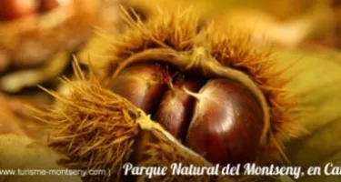 Parque Natural del Montseny, en Cataluña