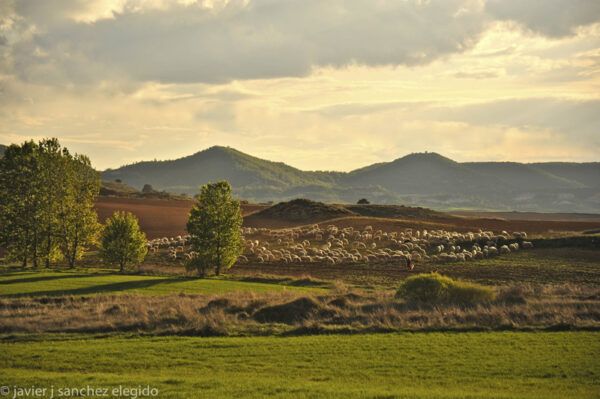 Rutas por España: Brihuega, Cívica y los alrededores del Río Tajuña, en Guadalajara Arla