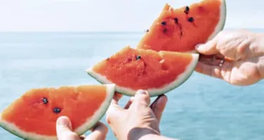 Los mejores alimentos de verano