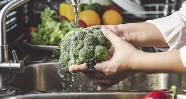 ¿Cuáles son los alimentos con más nutrientes?