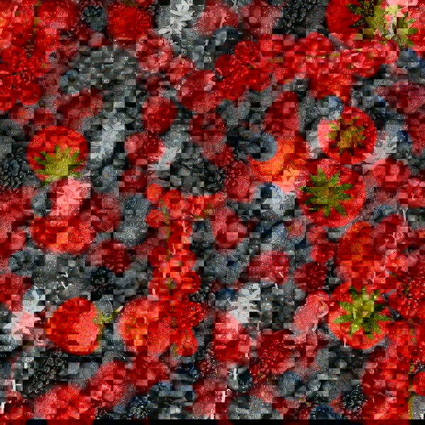 Los radicales libres y antioxidantes