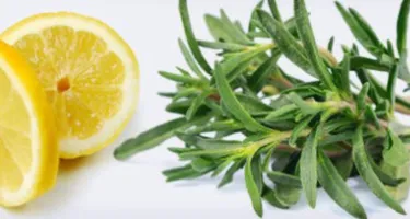 Trucos caseros para aromatizar la casa y absorber los malos olores