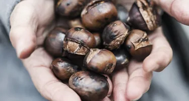 Las castañas: propiedades y recetas