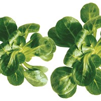 Trucos para tus ensaladas Arla