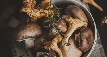 Las setas más valoradas en la cocina