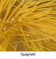 Tipos de pasta. Spaghetti
