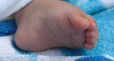 Los padres tapamos a los hijos, y ellos se destapan