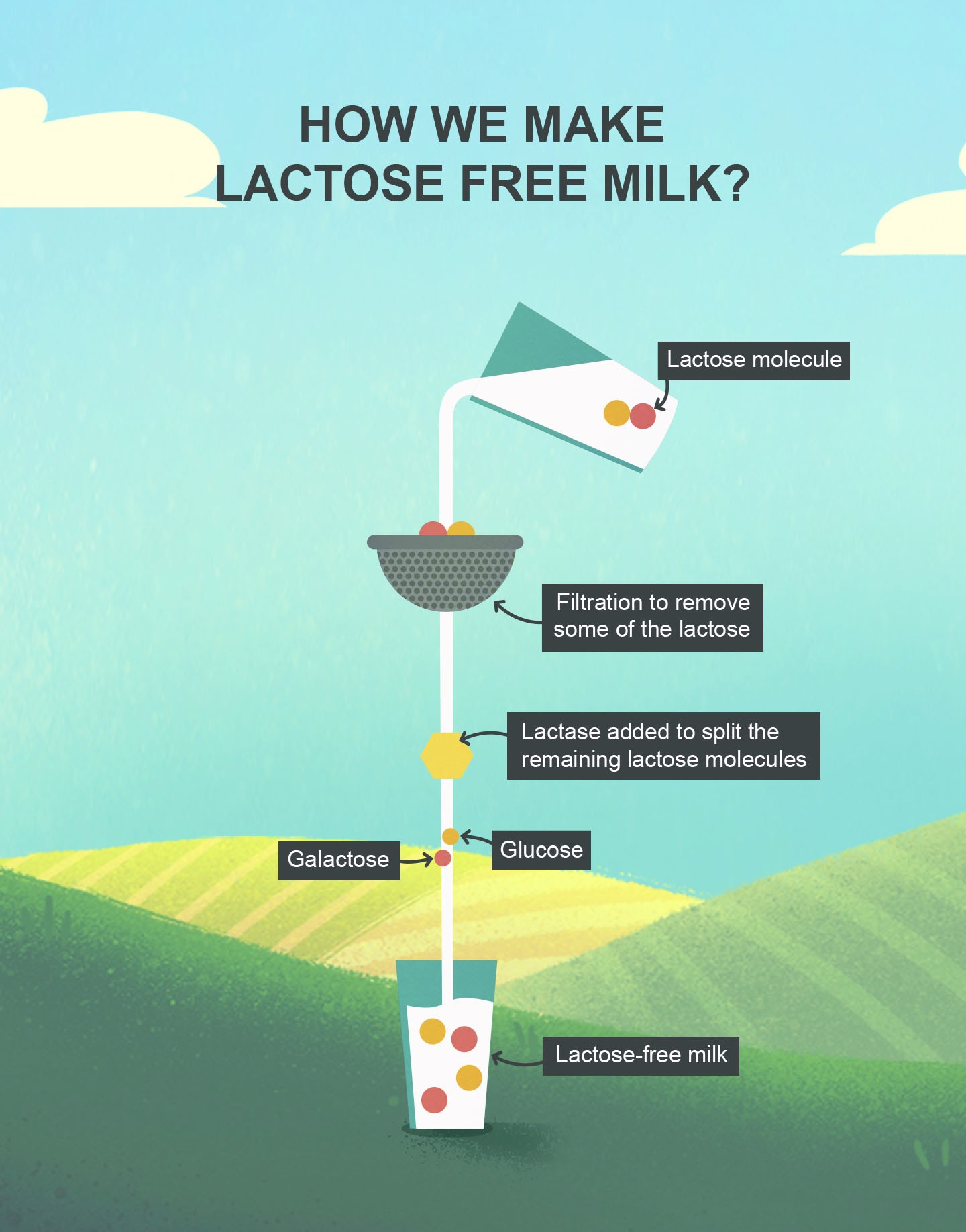 What is lactose free milk and how does it work? Arla Foods