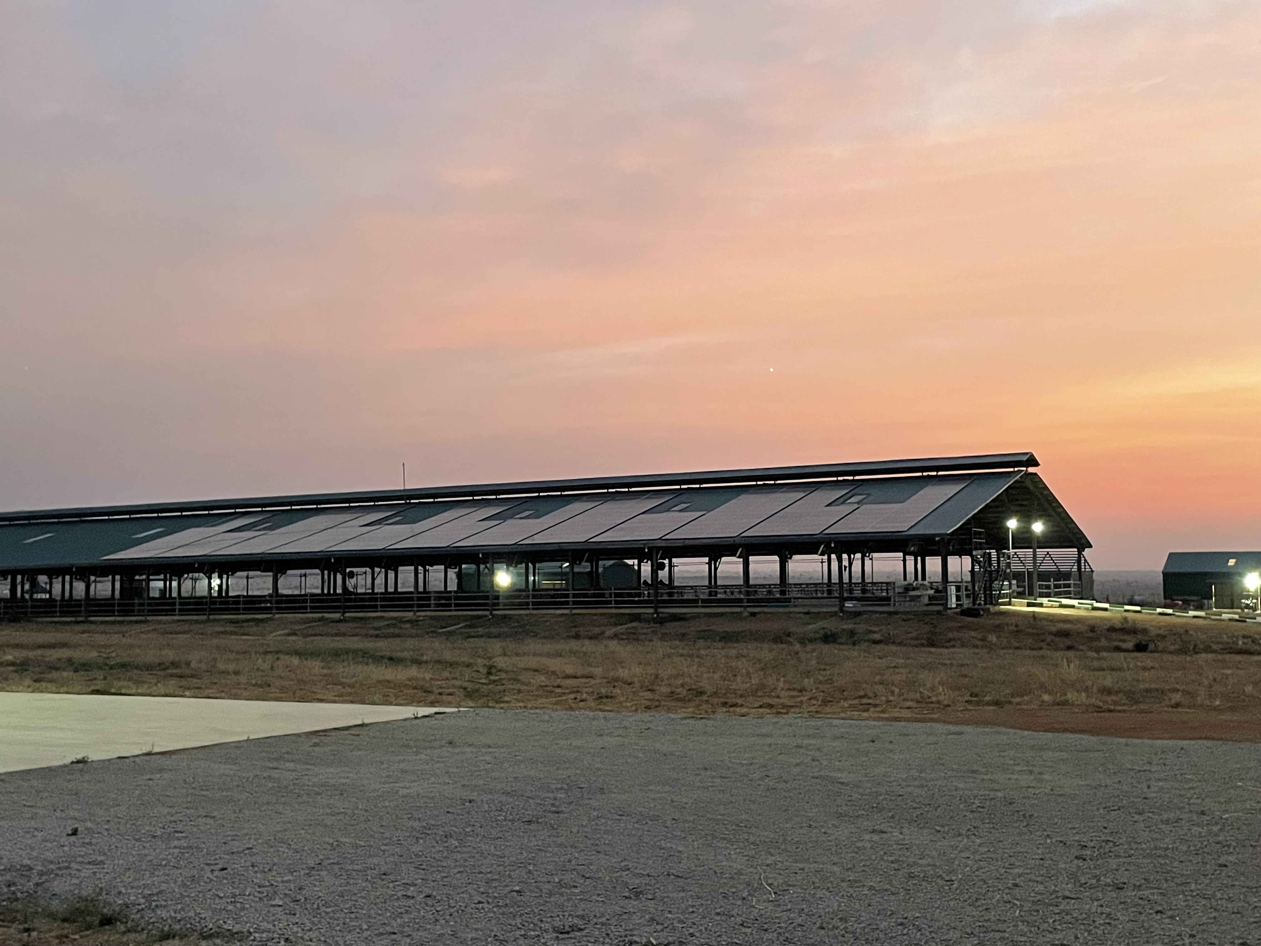 Arla Dairy Development Newsletter