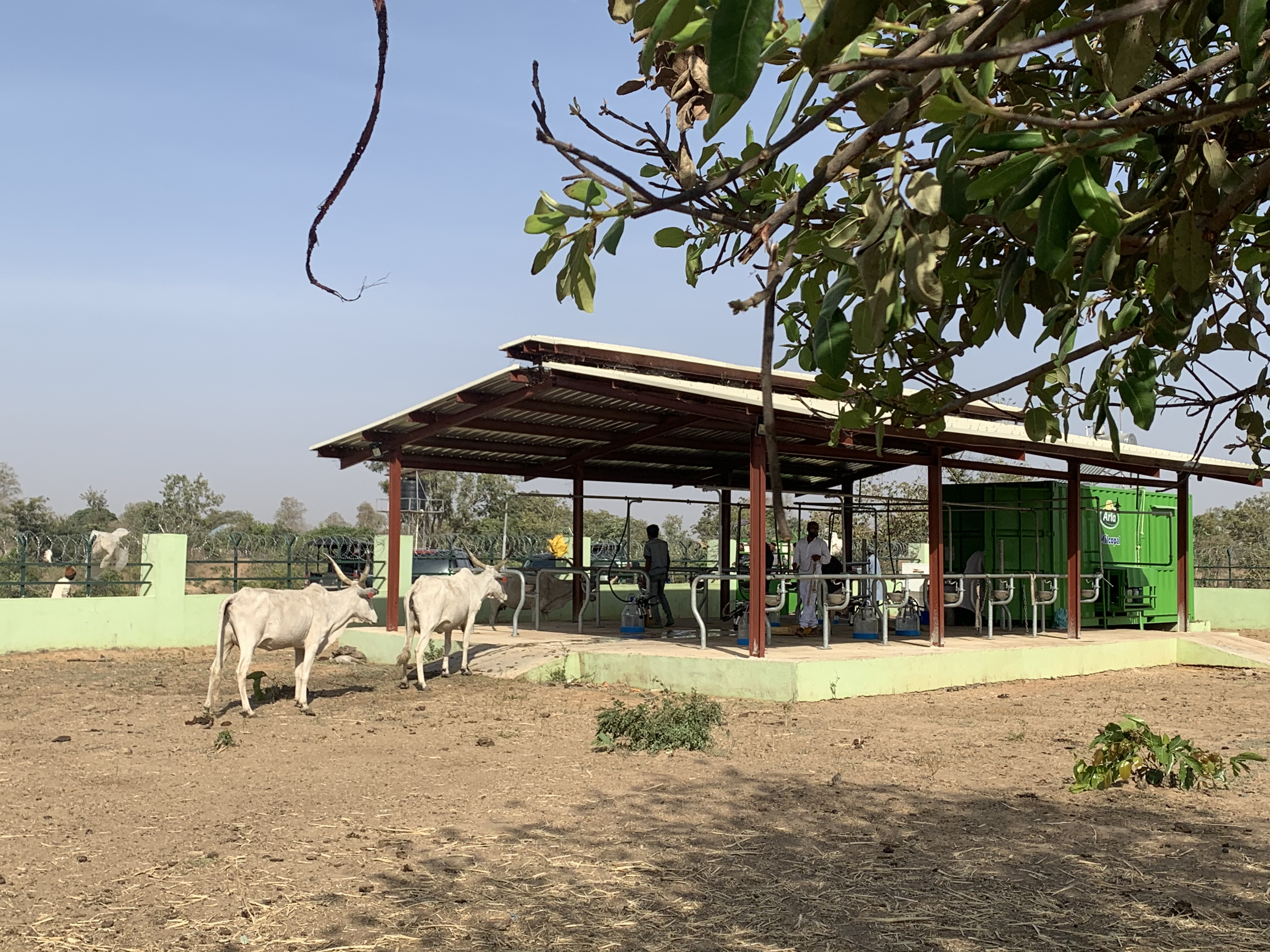 milk-collection-centre-before