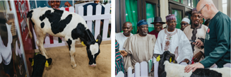 Q2 2026 - Arla Dairy Development Newsletter (Issue 11)