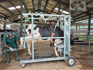 Q2 2026 - Arla Dairy Development Newsletter (Issue 11) (1)