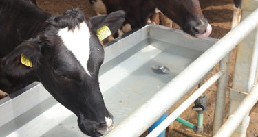 Arla Dairy Development Newsletter