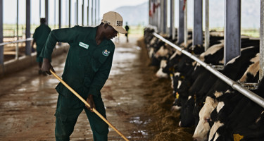 Arla Dairy Development Newsletter