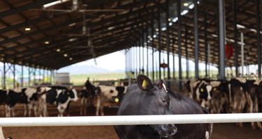 Arla Dairy Development Newsletter