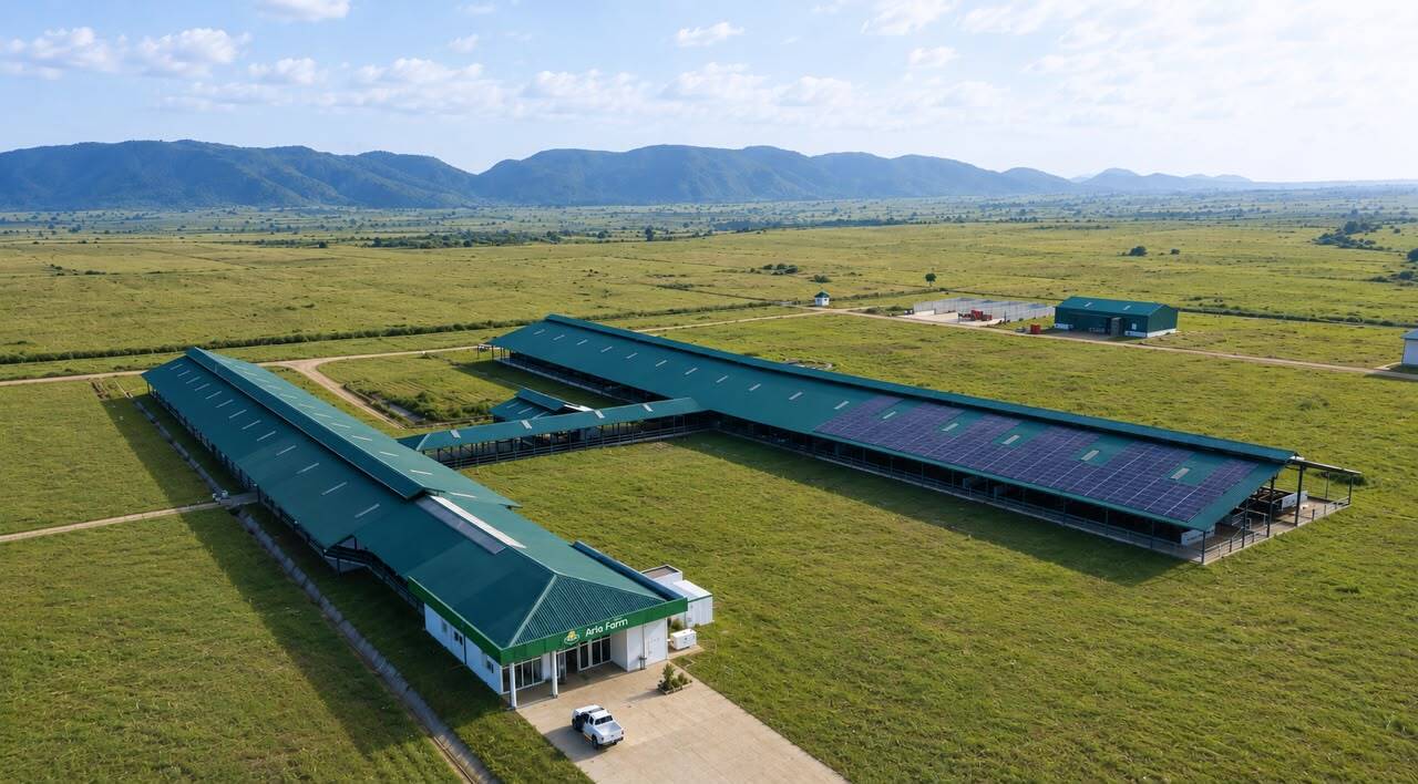 Arla-Dano Dairy Development Newsletter