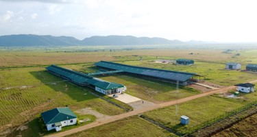 Arla Dairy Development Newsletter