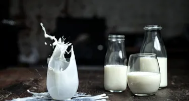 Is karnemelk lactosevrij?