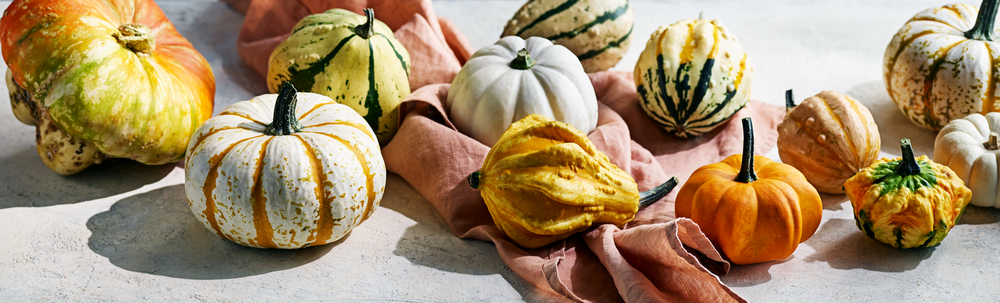 Alles wat je moet weten over pompoenen