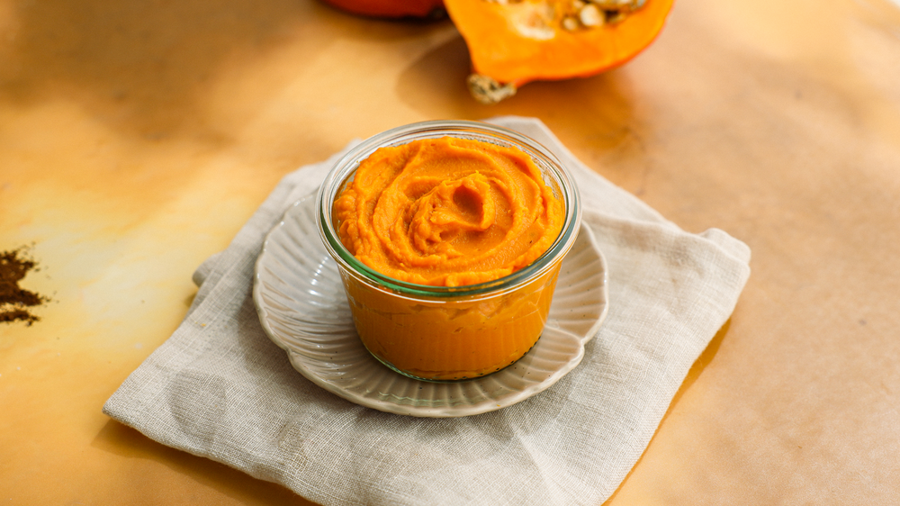 PNG_Version-Pumpkin purée