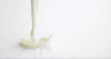 Is schapenmelk lactosevrij?