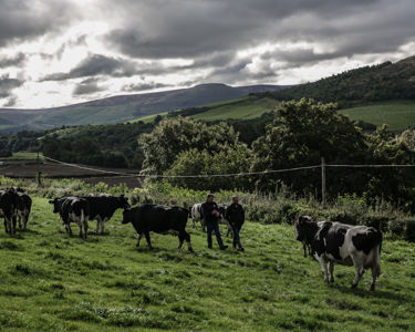 Agriculteurs propriétaires : En quoi cela est-il important pour vos clients?