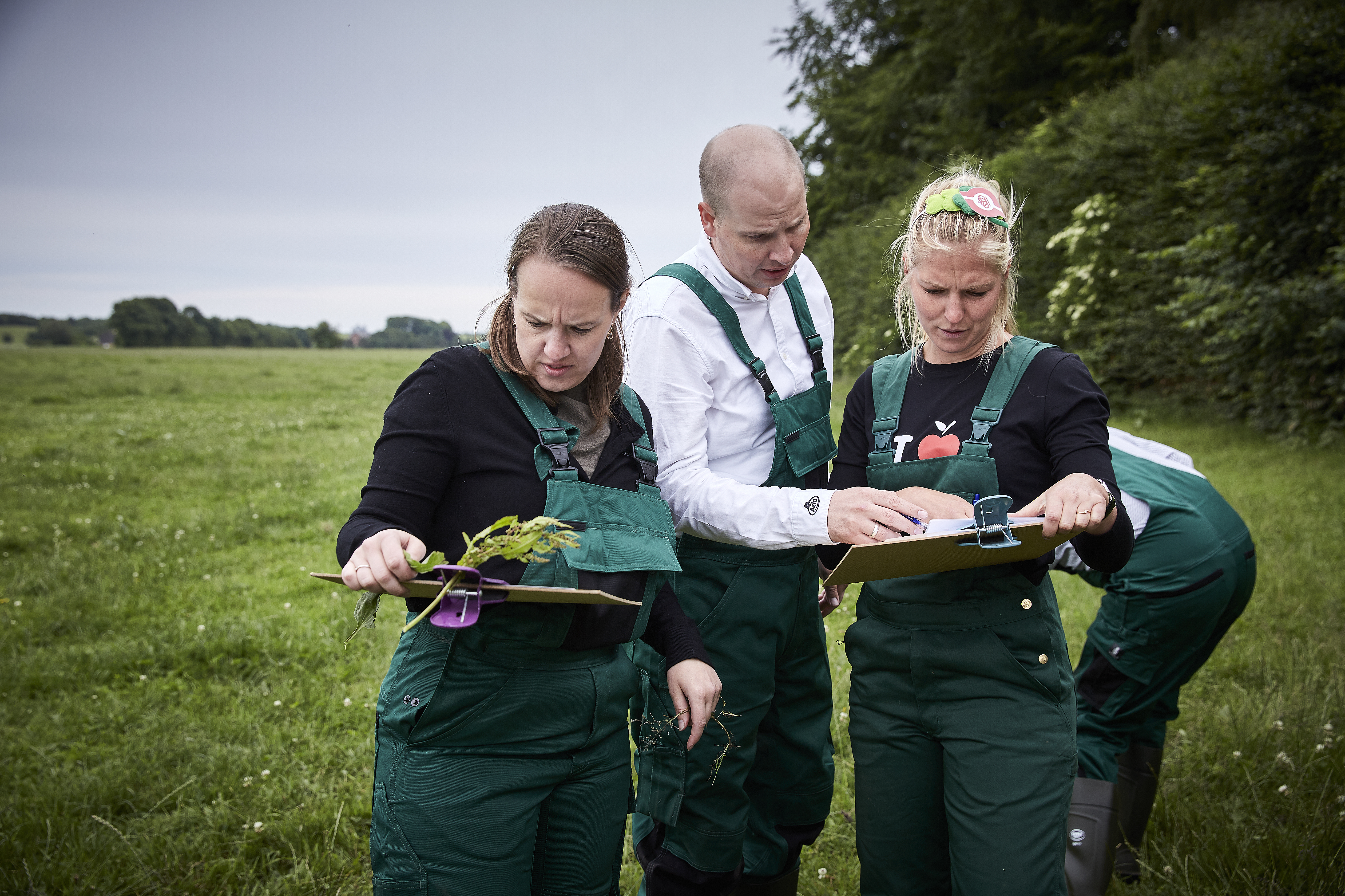 https://cdb.arla.com/api/assets/arla-pro-dk/arla-godevaner-debelgaard-0135.jpg