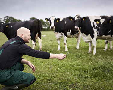 A l’occasion de la semaine du développement durable, Arla vous parle de ses racines et de ses engagements