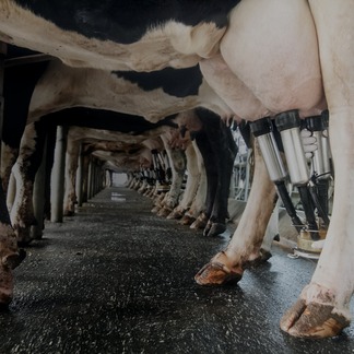 Geavanceerde landbouw met passie