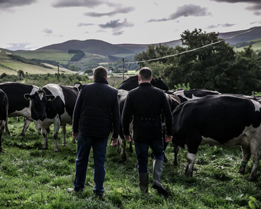 Top ways to bring our Farmer-Owned Message to life in YOUR business
