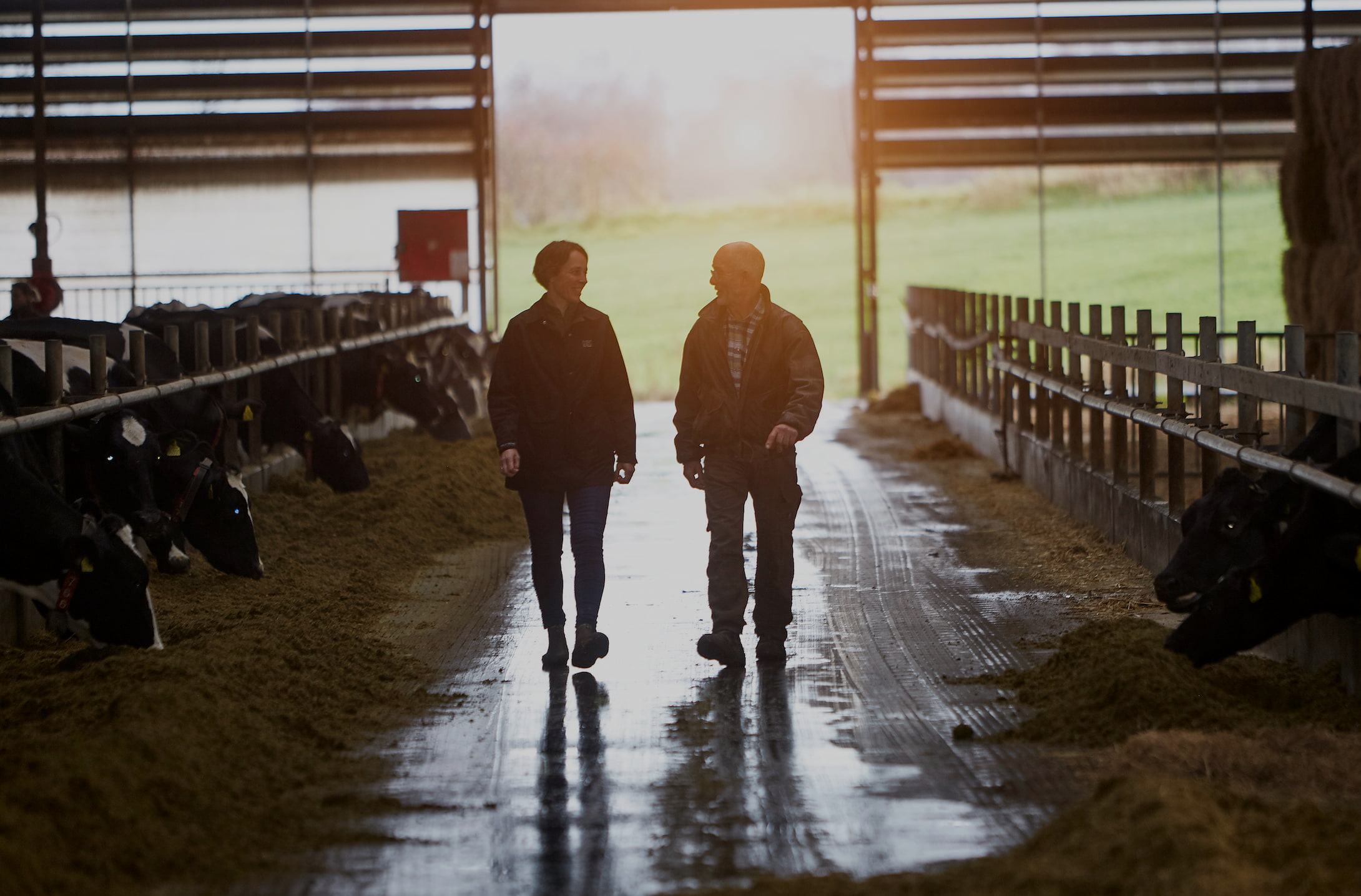 Big data empowers Arla farmers to decarbonise dairy at a faster pace