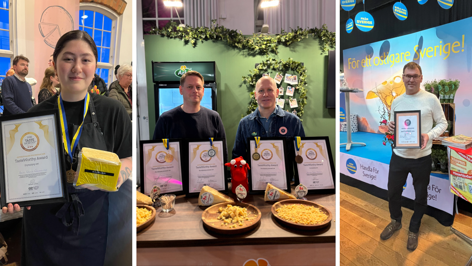 Totalt blev det fem medaljer till Arla när Ostfestivalen gick av stapeln i helgen, dessutom belönades ostmästare Fredrik Andersson med utmärkelsen Årets ostprofil. Foto: Arla.