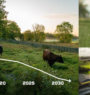 Arla och Kavli samarbetar för att öka takten i lantbrukets gröna omställning. Foto: Arla