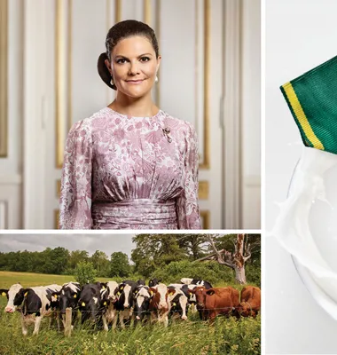Kronprinsessan har i år äran att dela ut guldmedaljer till de mjölkbönder som i hela 23 år har levererat mjölk av mycket hög kvalitet. Foto: Linda Broström/Kungl. Hovstaterna, LRF Mjölk och Arla