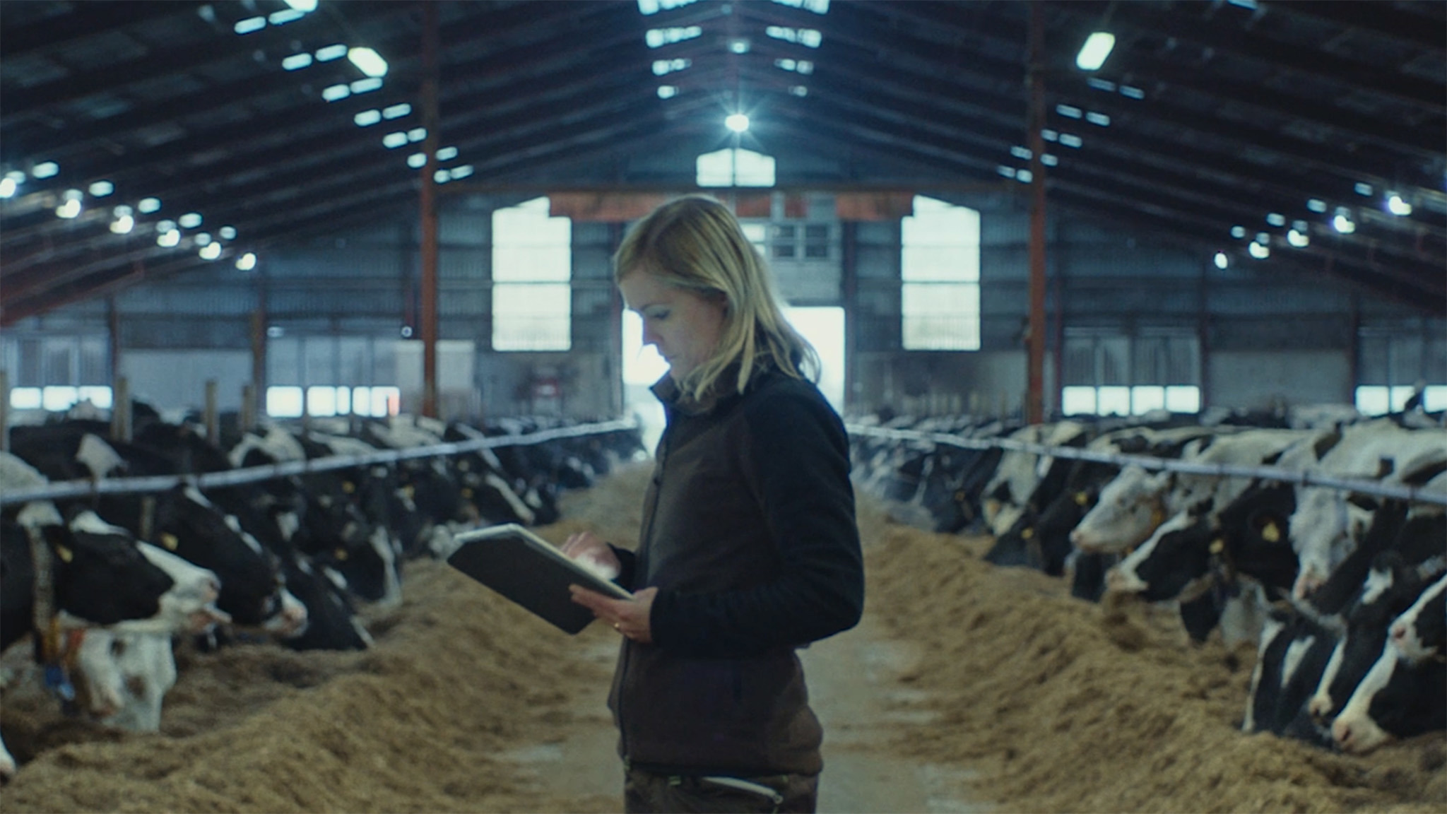 360° helhetsrådgivning