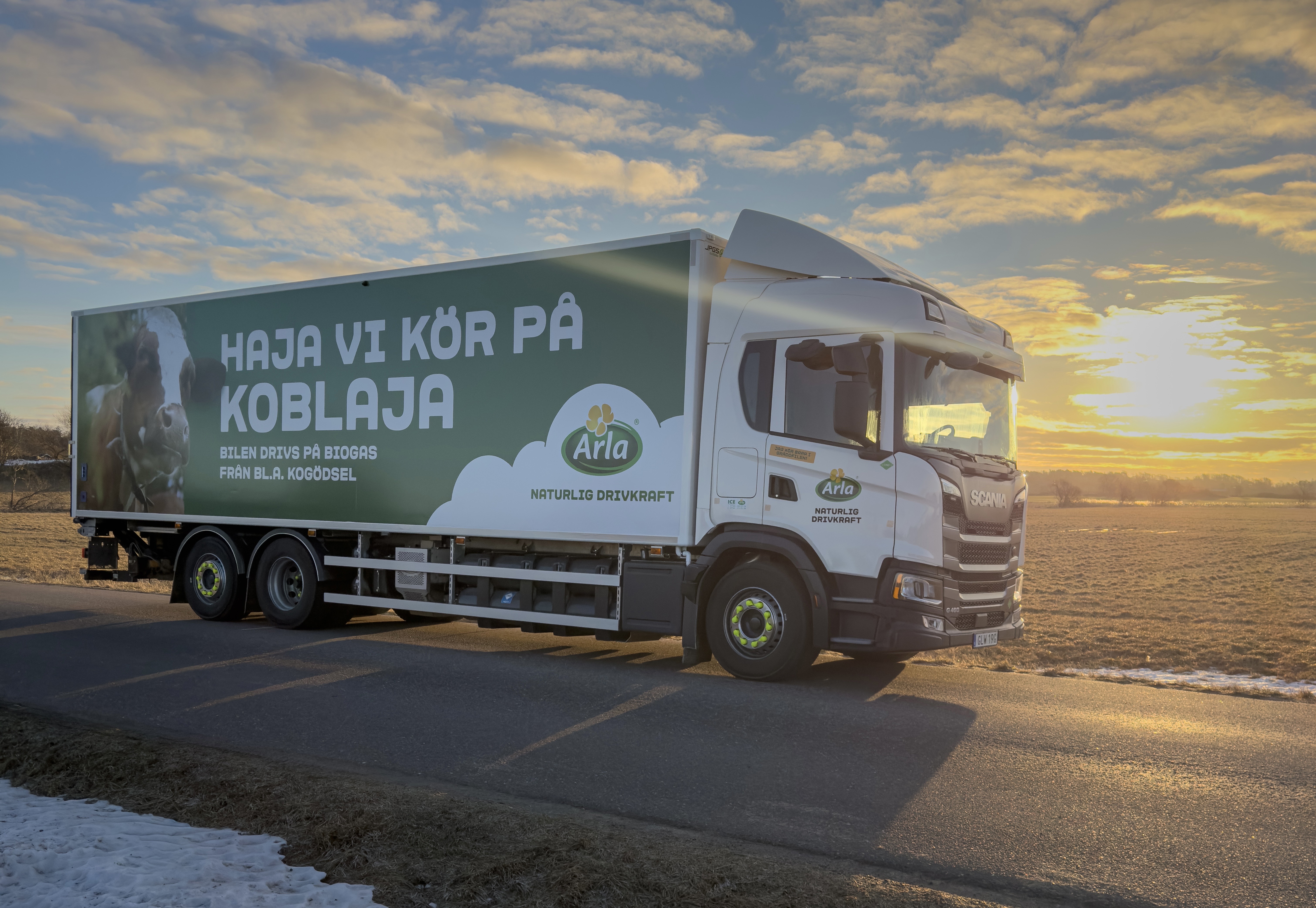 Världsmarknaden för mejeriprodukter har stabiliserats något de senaste veckorna, men präglas fortsatt av osäkerhet. Foto: Arla/Håkan Johansson