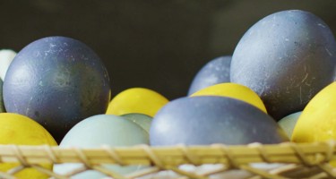 Färga ägg – så färgar du ägg enkelt med det du har hemma