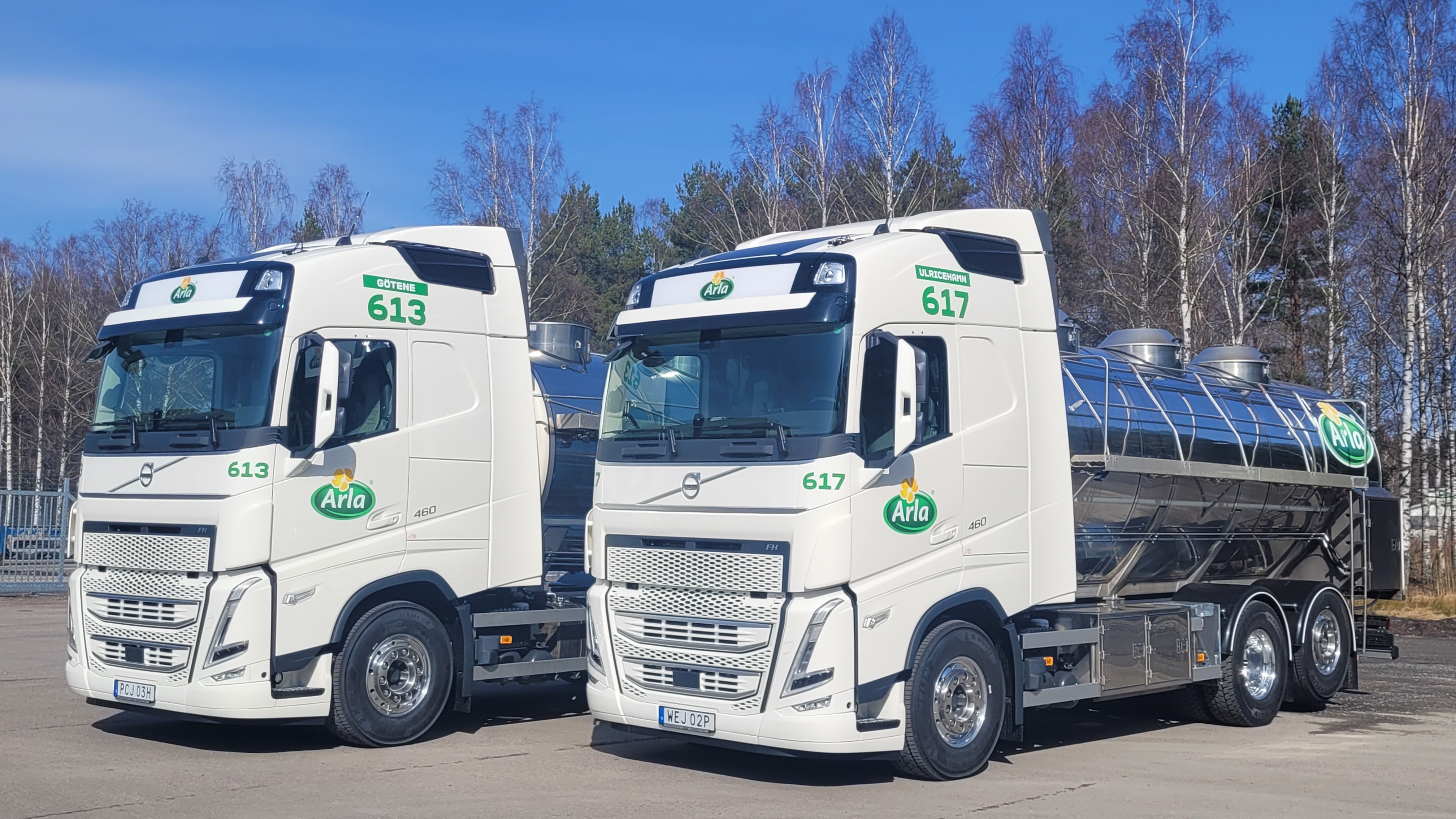 De internationella mejerimarknaderna visar tecken på stabilisering. Foto: Arla