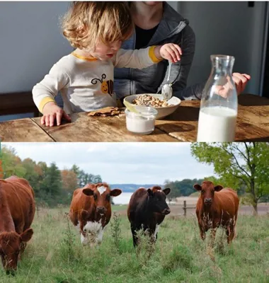 I hård konkurrens korades i dag Arla till Sveriges grönaste varumärke i kategorin matproducenter. Foto: Arla.