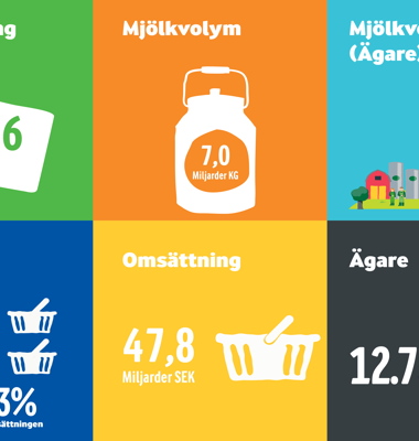 Halvårsresultat 2015: Fortsatt fokus trots en oförutsägbar marknad