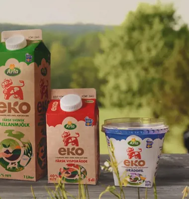 I ekologisk mejeriproduktion används inte naturfrämmande bekämpningsmedel och korna får beta extra mycket. Foto: Arla.
