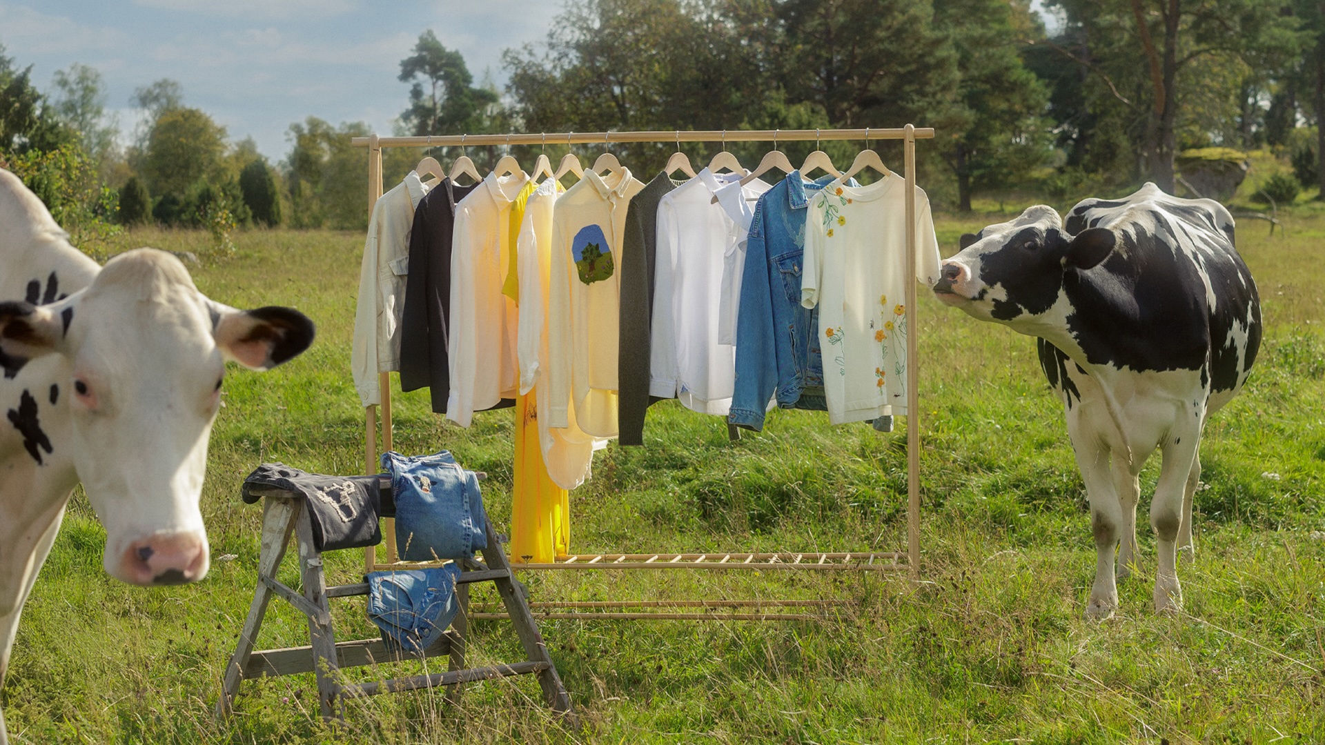 KOllektionen är både ett estetiskt projekt och en hyllning till det naturliga och långsamma. Foto: Arla
