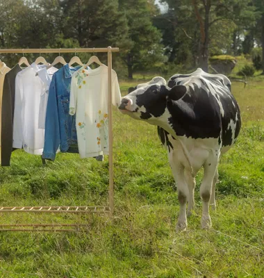 KOllektionen är både ett estetiskt projekt och en hyllning till det naturliga och långsamma. Foto: Arla