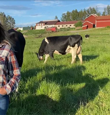 Inger-Lise Sjöström på gården i Kolmården i Östergötland. Foto: Arla